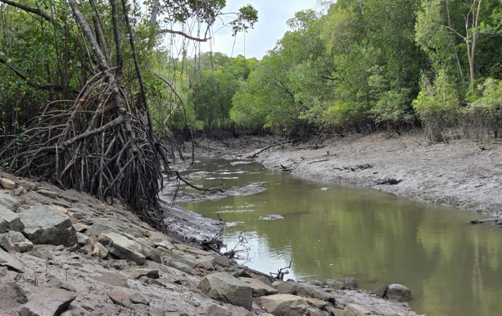 Leaders Creek near the ramp at low tide