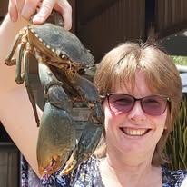 A mud crab